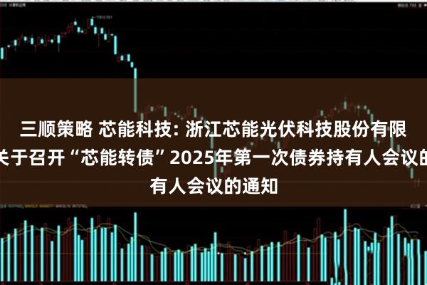 三顺策略 芯能科技: 浙江芯能光伏科技股份有限公司关于召开“芯能转债”2025年第一次债券持有人会议的通知