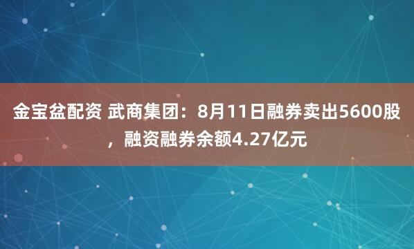 金宝盆配资 武商集团：8月11日融券卖出5600股，融资融券余额4.27亿元