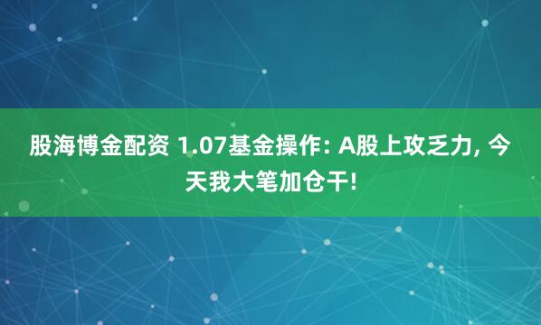 股海博金配资 1.07基金操作: A股上攻乏力, 今天我大笔加仓干!